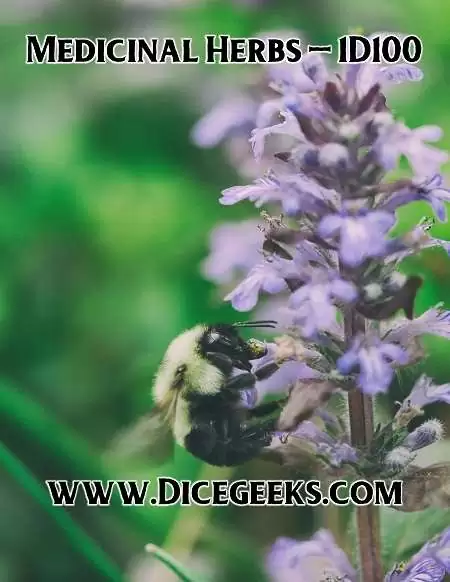 Medicinal Herbs – 1D100