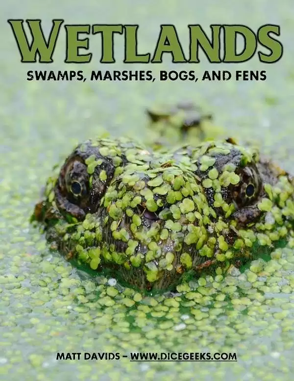 Wetlands: Swamps, Marshes, Bogs, and Fens